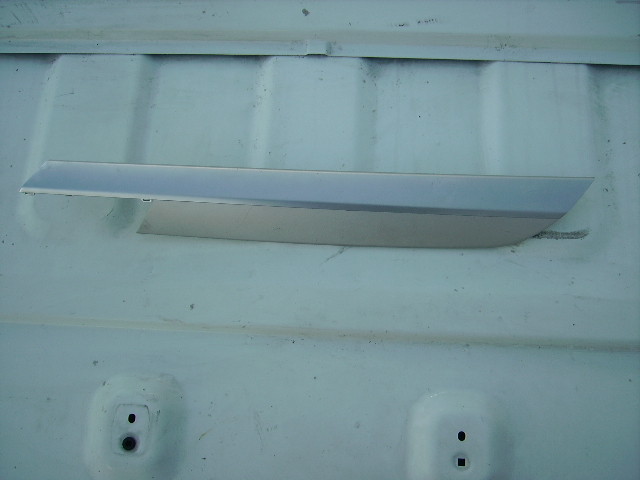 Ornamente portiere BMW E71 X6