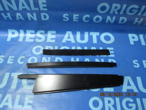 Ornamente portiere BMW E83 X3 2008 (spate)