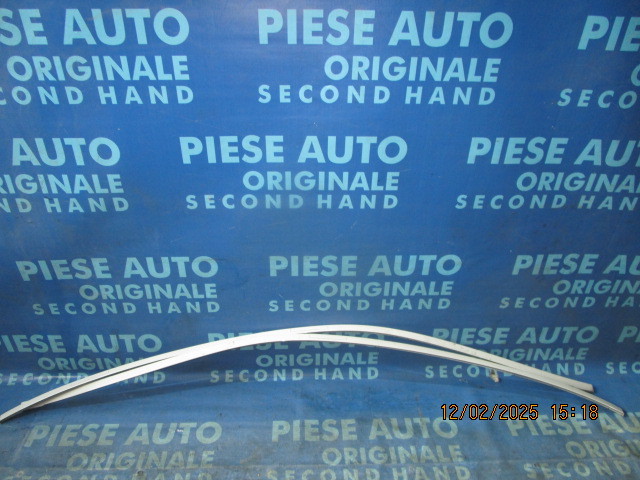 Ornamente portiere BMW F10 ; 7207669 (plafon)
