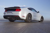 P-51 Mustang by Roush