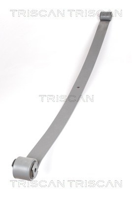 Pachet arc cu foi puntea spate (876510001 TRI) Citroen,FIAT,PEUGEOT