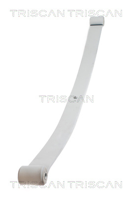 Pachet arc cu foi puntea spate (876510004 TRI) IVECO