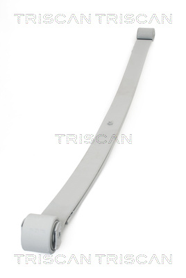 Pachet arc cu foi puntea spate (876510006 TRI) Citroen,FIAT,PEUGEOT