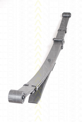 Pachet arc cu foi puntea spate (876514013 TRI) NISSAN
