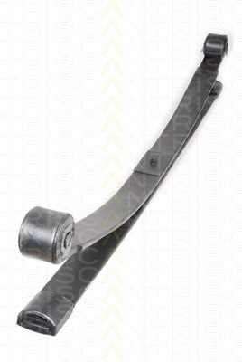 Pachet arc cu foi puntea spate (876516036 TRI) FORD