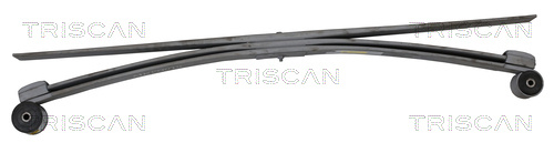 Pachet arc cu foi puntea spate (876516042 TRI) FORD