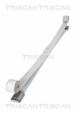 Pachet arc cu foi puntea spate (876516047 TRI) FORD