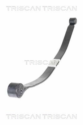 Pachet arc cu foi puntea spate (876516050 TRI) FORD