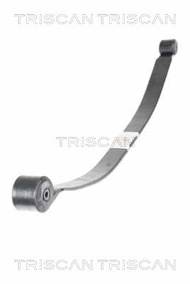 Pachet arc cu foi puntea spate (876516051 TRI) FORD
