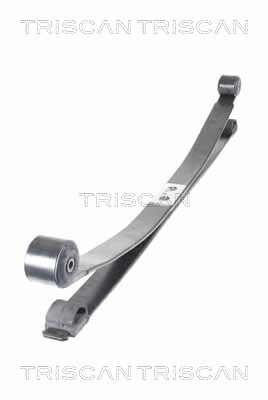 Pachet arc cu foi puntea spate (876516052 TRI) FORD