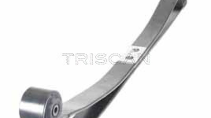 Pachet arc cu foi puntea spate (876516052 TRI) FORD