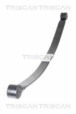 Pachet arc cu foi puntea spate (876516055 TRI) FORD
