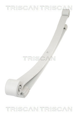 Pachet arc cu foi puntea spate (876523025 TRI) MERCEDES-BENZ,VW