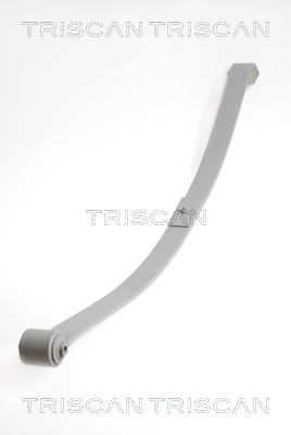 Pachet arc cu foi puntea spate (876529020 TRI) VW