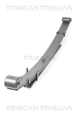 Pachet arc cu foi puntea spate (876543003 TRI) HYUNDAI