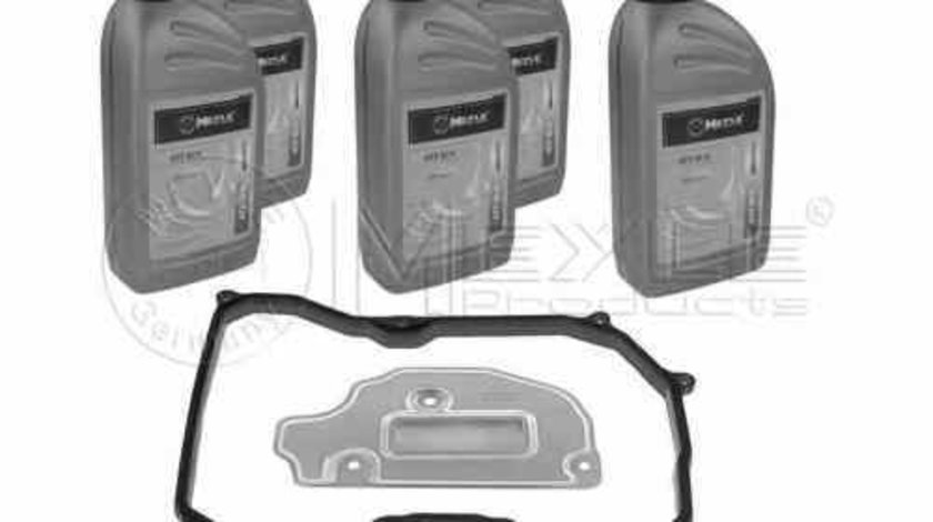 Pachet revizie cutie de viteze automata VW TOURAN 1T1 1T2 MEYLE 100 135 0101