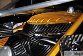 Pagani Huayra - Poze Live