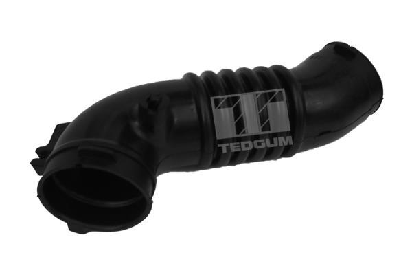 Palnie, filtru de aer (00392218 TED) MAZDA