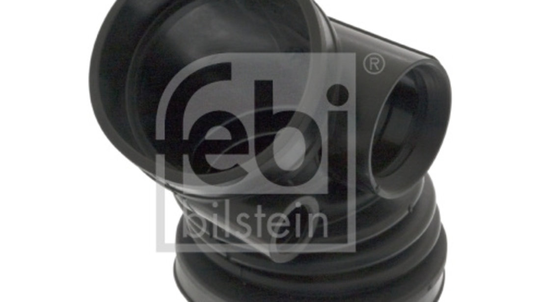 Palnie, filtru de aer (102550 FEBI BILSTEIN) BMW