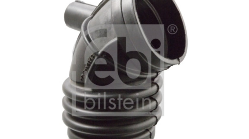 Palnie, filtru de aer (103094 FEBI BILSTEIN) BMW