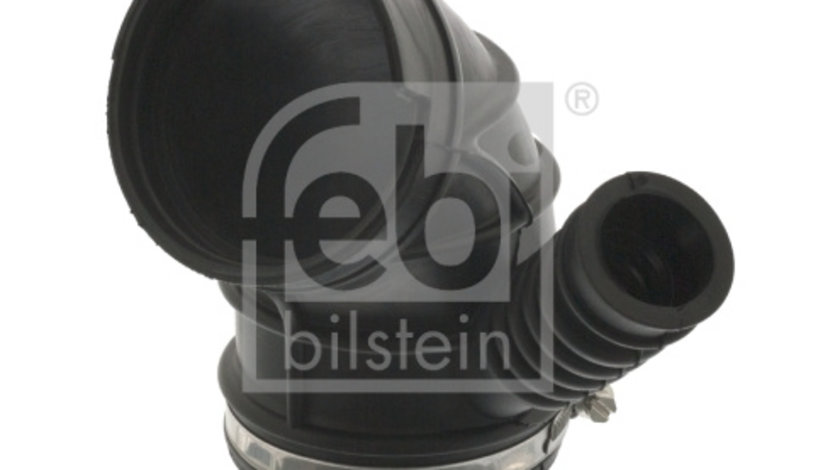 Palnie, filtru de aer (103254 FEBI BILSTEIN) BMW