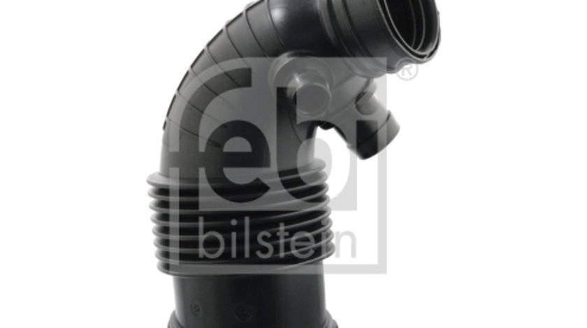 Palnie, filtru de aer (104354 FEBI BILSTEIN) BMW