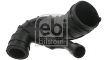 Palnie, filtru de aer (32769 FEBI BILSTEIN) Citroe...