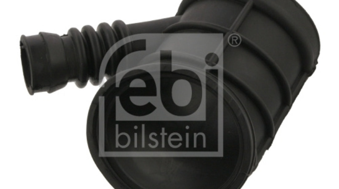 Palnie, filtru de aer (38542 FEBI BILSTEIN) BMW