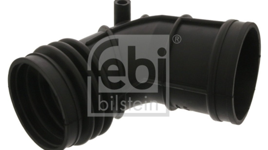 Palnie, filtru de aer (39055 FEBI BILSTEIN) BMW