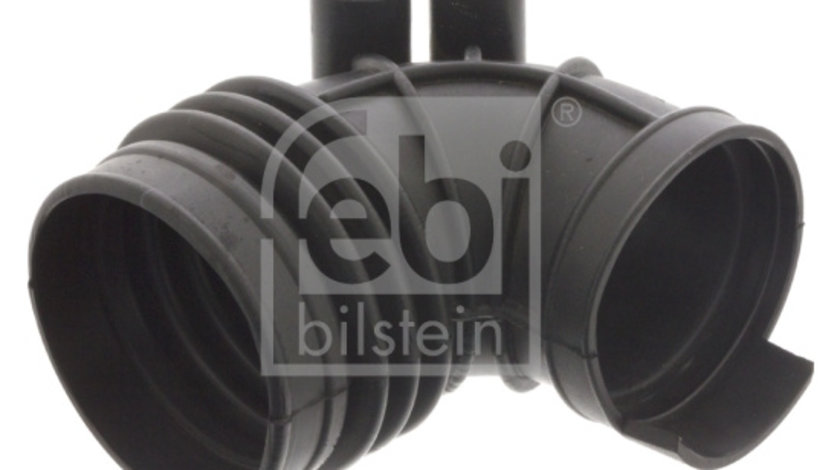 Palnie, filtru de aer (46033 FEBI BILSTEIN) BMW