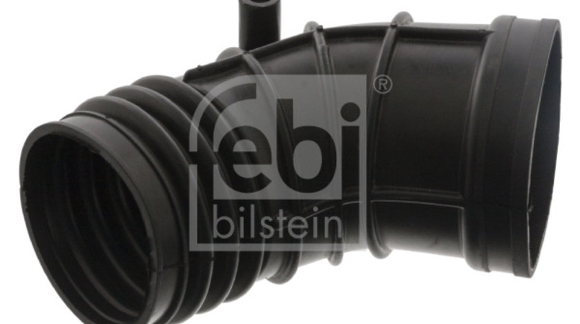 Palnie, filtru de aer (46034 FEBI BILSTEIN) BMW