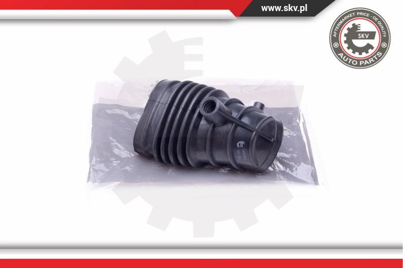 Palnie filtru de aer ; BMW 3 E46 1.8 ; 13711247829