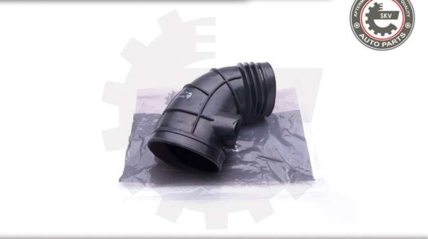 Palnie filtru de aer ; BMW 5 E39 3.0 ; 13547505838