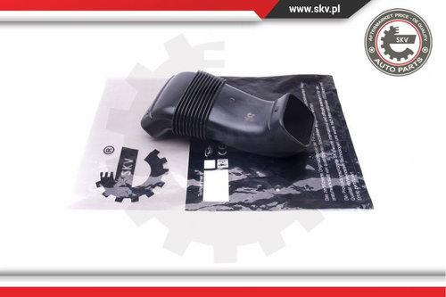 Palnie Filtru De Aer ; BMW X5 (E53) ; 13711438471