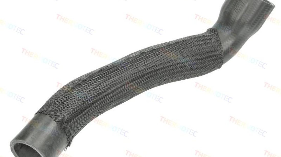 Palnie filtru de aer CITROËN C5 II RC Producator THERMOTEC DCC003TT