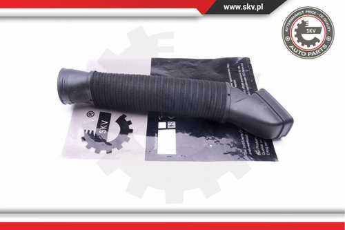 Palnie Filtru De Aer ; MERCEDES S-Class (W221) ; A2730900382