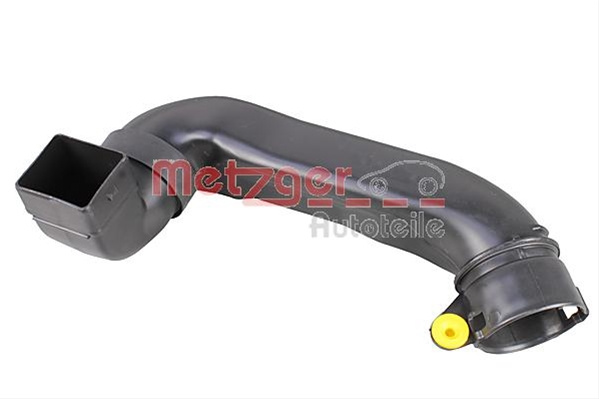 Palnie Filtru De Aer Metzger Citroën 2388053