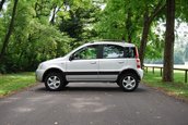 Panda renaste in muntii Italiei