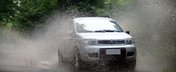Panda renaste in muntii Italiei