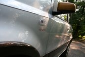 Panda renaste in muntii Italiei