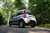 Panda renaste in muntii Italiei