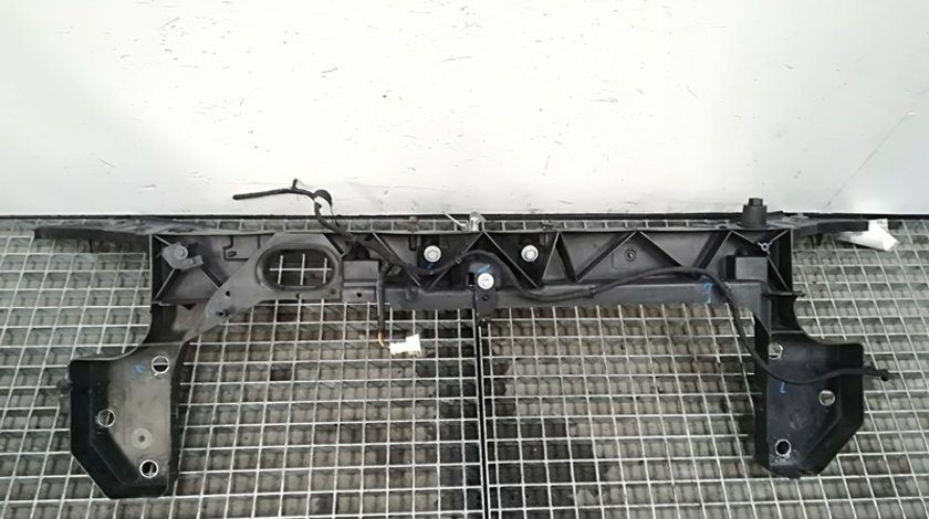 Panou frontal 8200290148, Renault Clio 3 combi