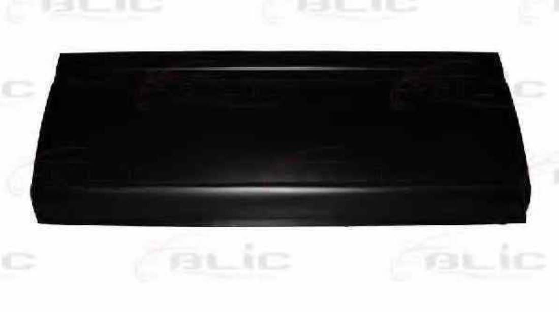 Panou lateral MERCEDES-BENZ SPRINTER 4-t caroserie 904 BLIC 6505-06-3546001P