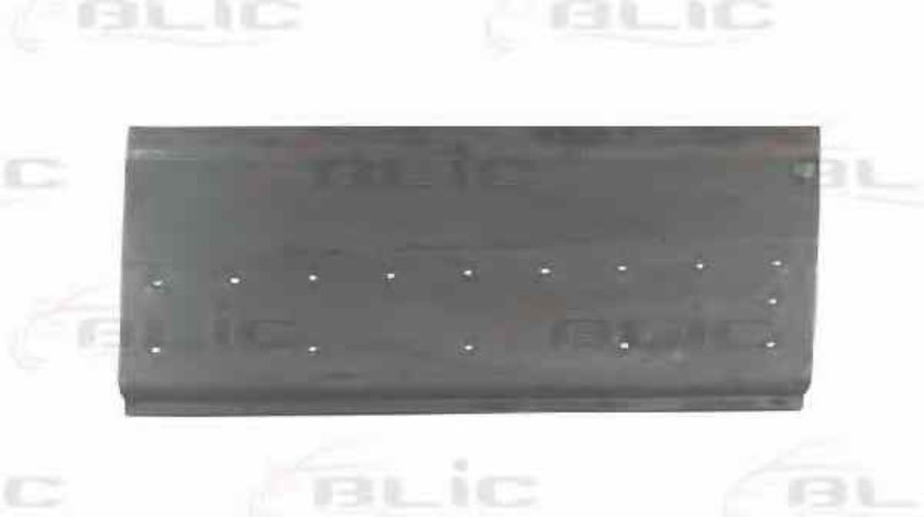 Panou lateral RENAULT TRAFIC II bus JL Producator BLIC 6505-06-6061012P