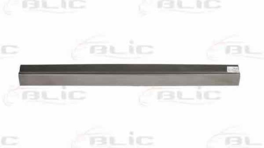 Panou lateral VW TRANSPORTER V bus (7HB, 7HJ, 7EB, 7EJ, 7EF) BLIC 6505-06-9568001P