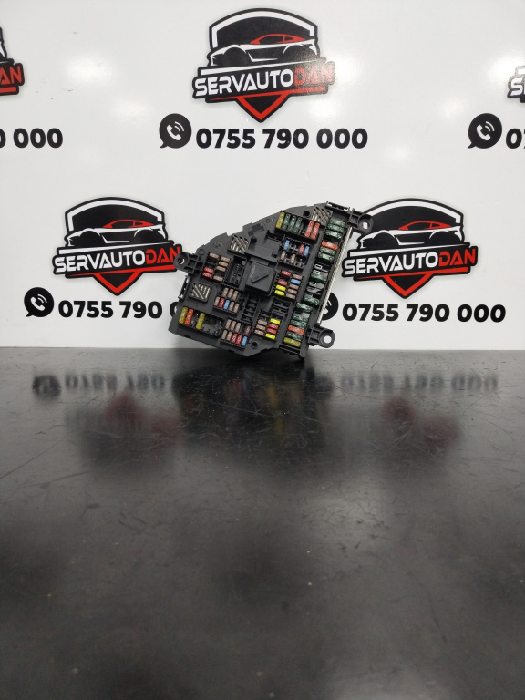 Panou sigurante BMW Seria 5 (2010-2017) [F10] 2.0 Motorina 2011, 9252813-01 / 9252813