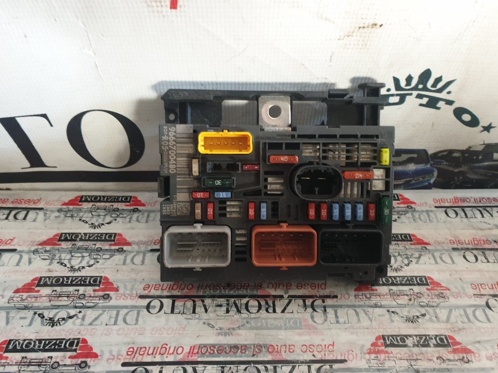Panou sigurante BSM-R05-00 CITROËN C3 II cod piesa : 9666700480