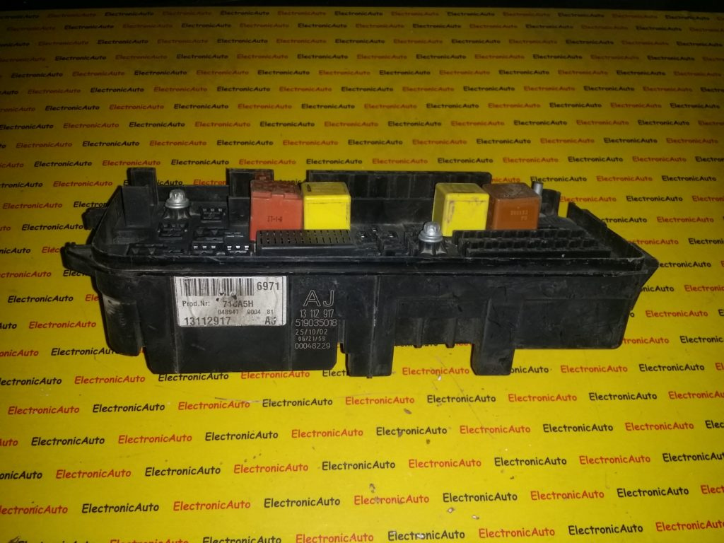 Panou sigurante Opel Vectra C 13112917AJ, 519035018
