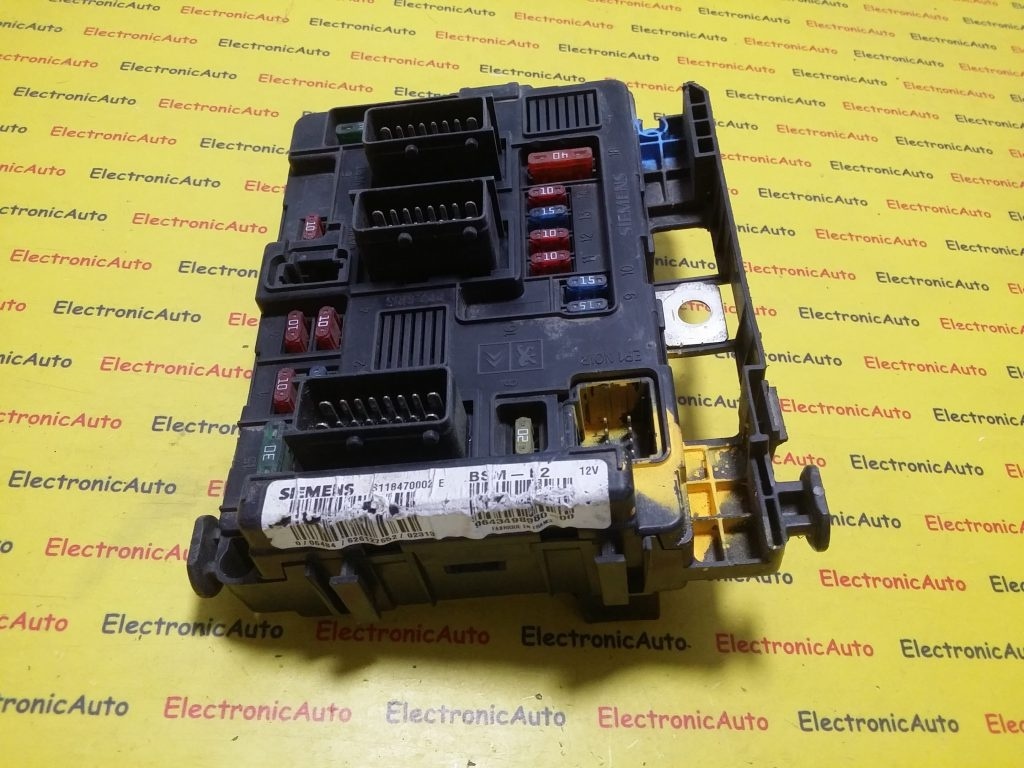 Panou Sigurante Peugeot 206 BSM 9643498980, S118470002E
