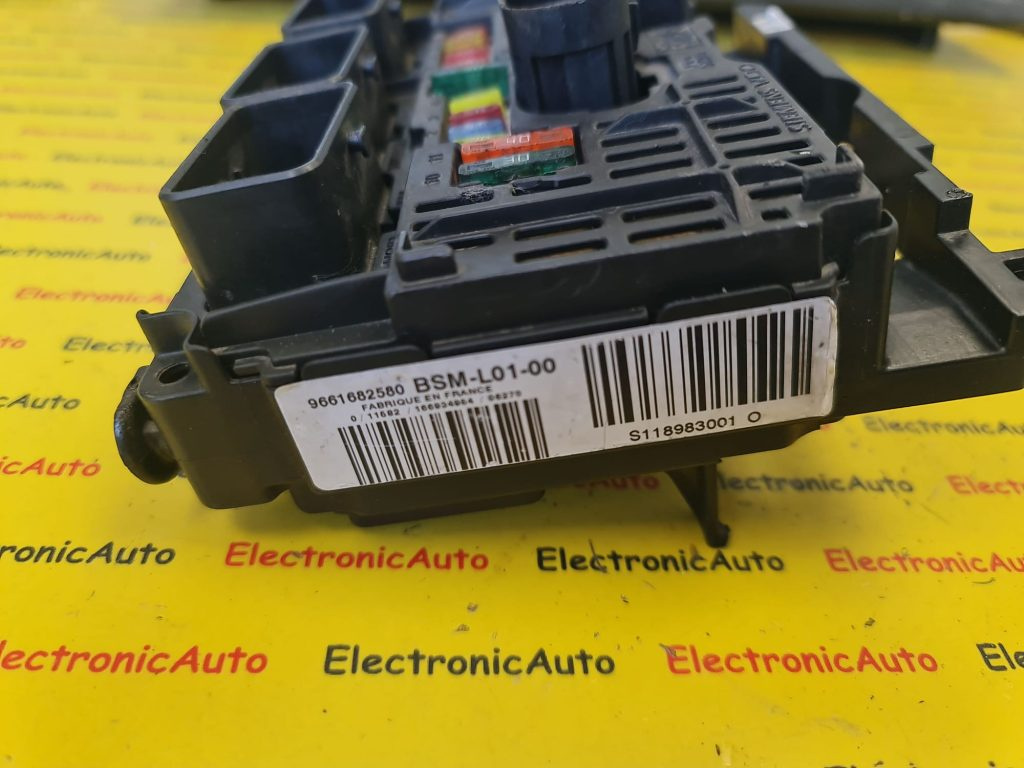 Panou sigurante Peugeot 407, 9661682580, S118983001O,